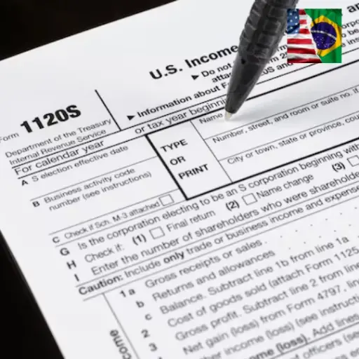 Inglês - Tradução Juramentada Declaração de Imposto Renda